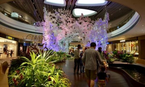 Singapore Airport Virtual Tour Destinations