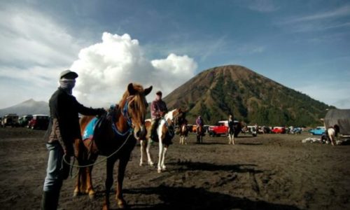 Want Cheap Bromo Travel Packages? Contact Kayana Tour