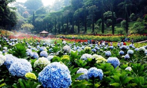 Romantic Places in Malang